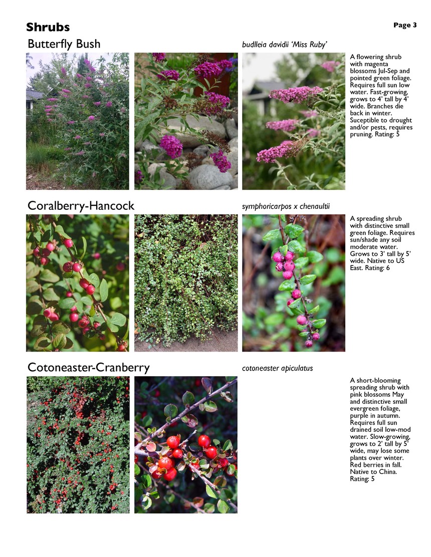 landscape-4-shrubs Page 3