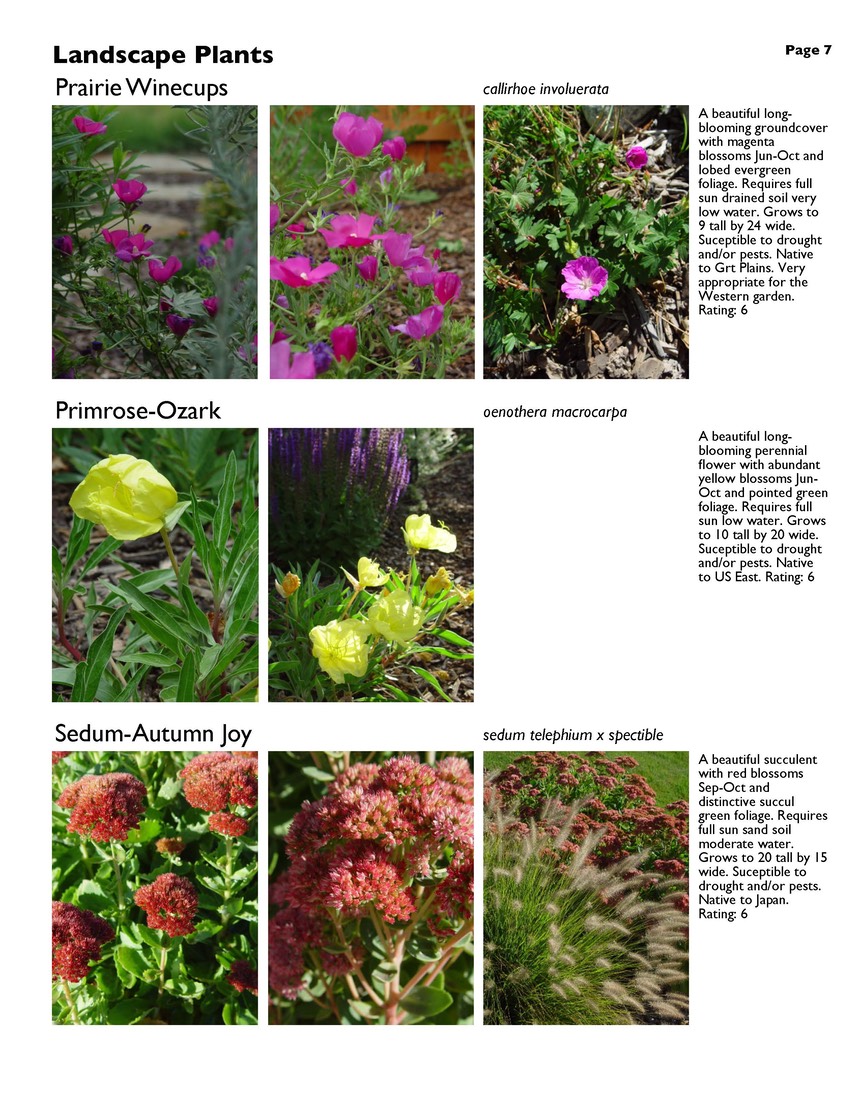 landscape-5-perennials Page 7