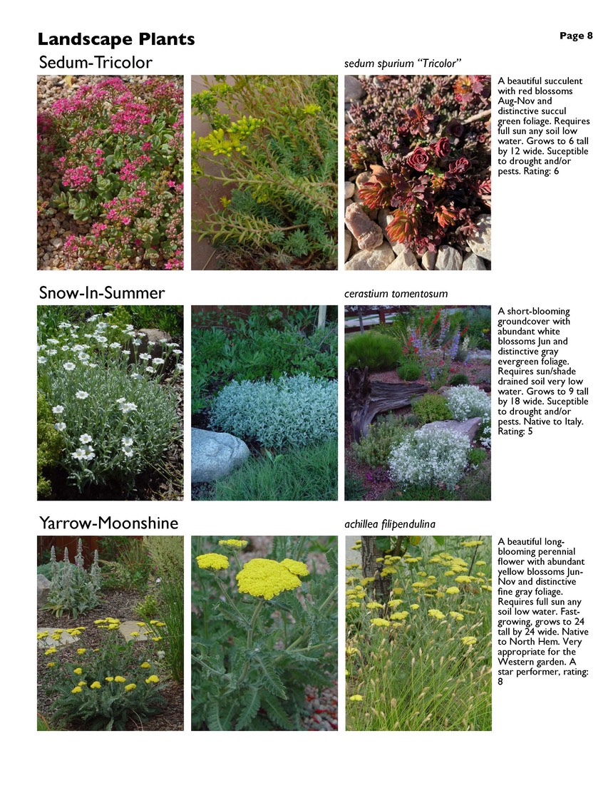 landscape-5-perennials Page 8