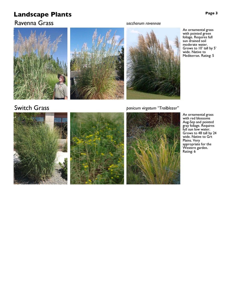 landscape-6-grasses Page 3