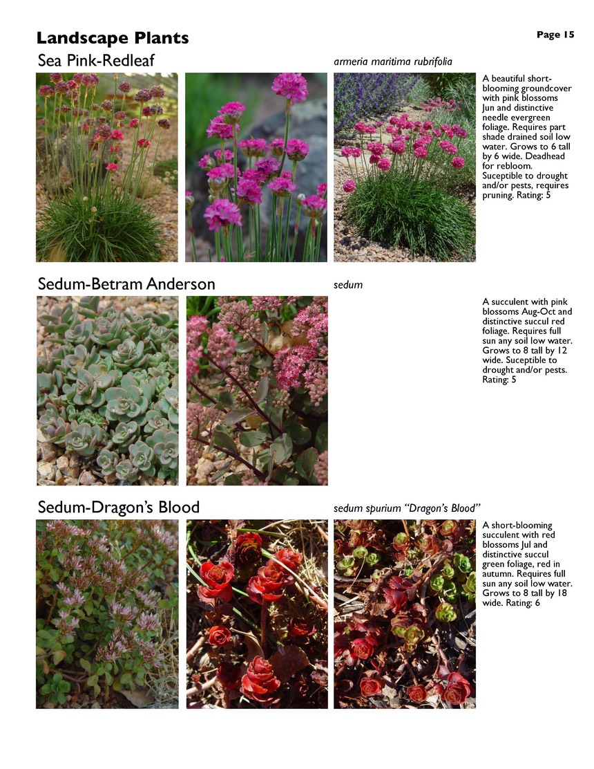 landscape-7-bonus plants Page 15