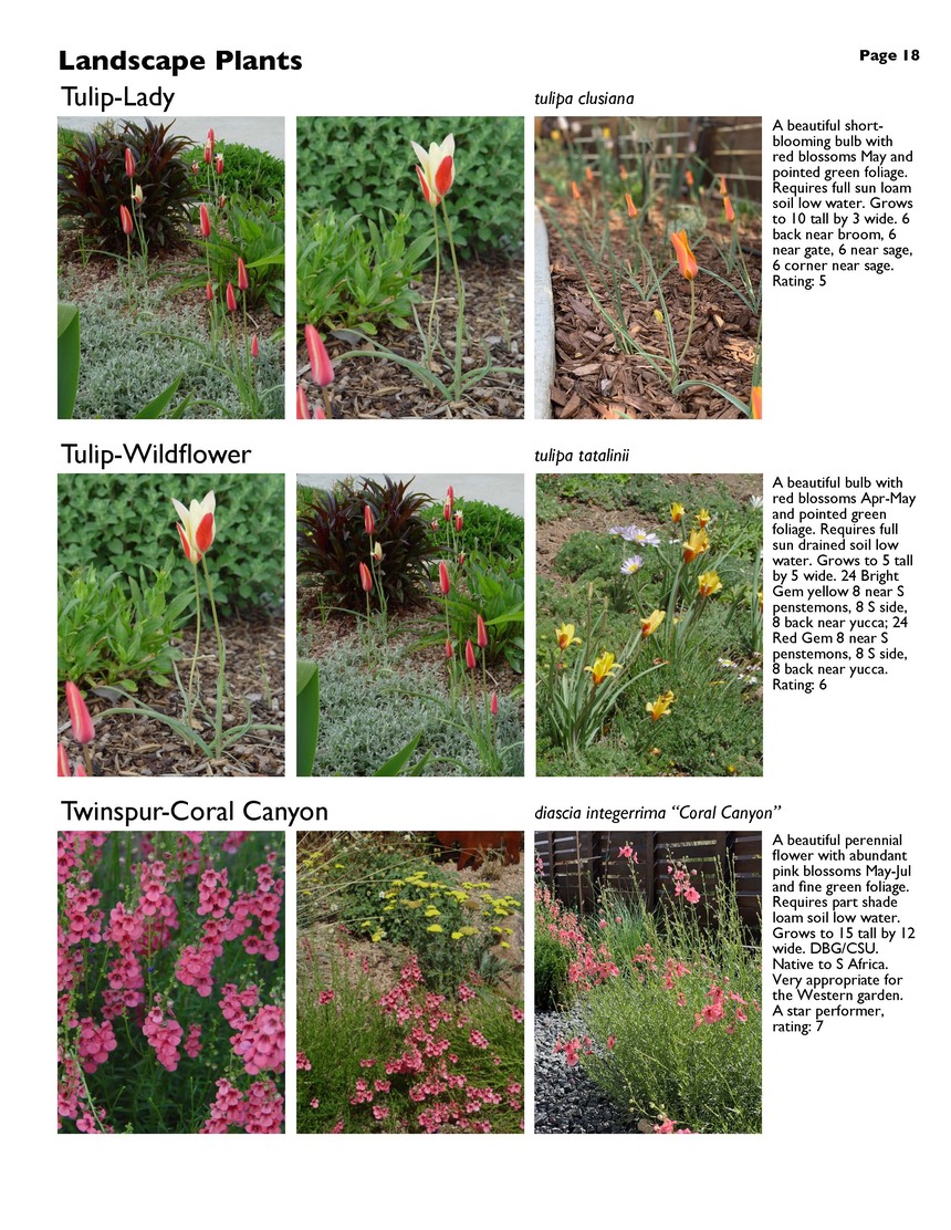 landscape-7-bonus plants Page 18