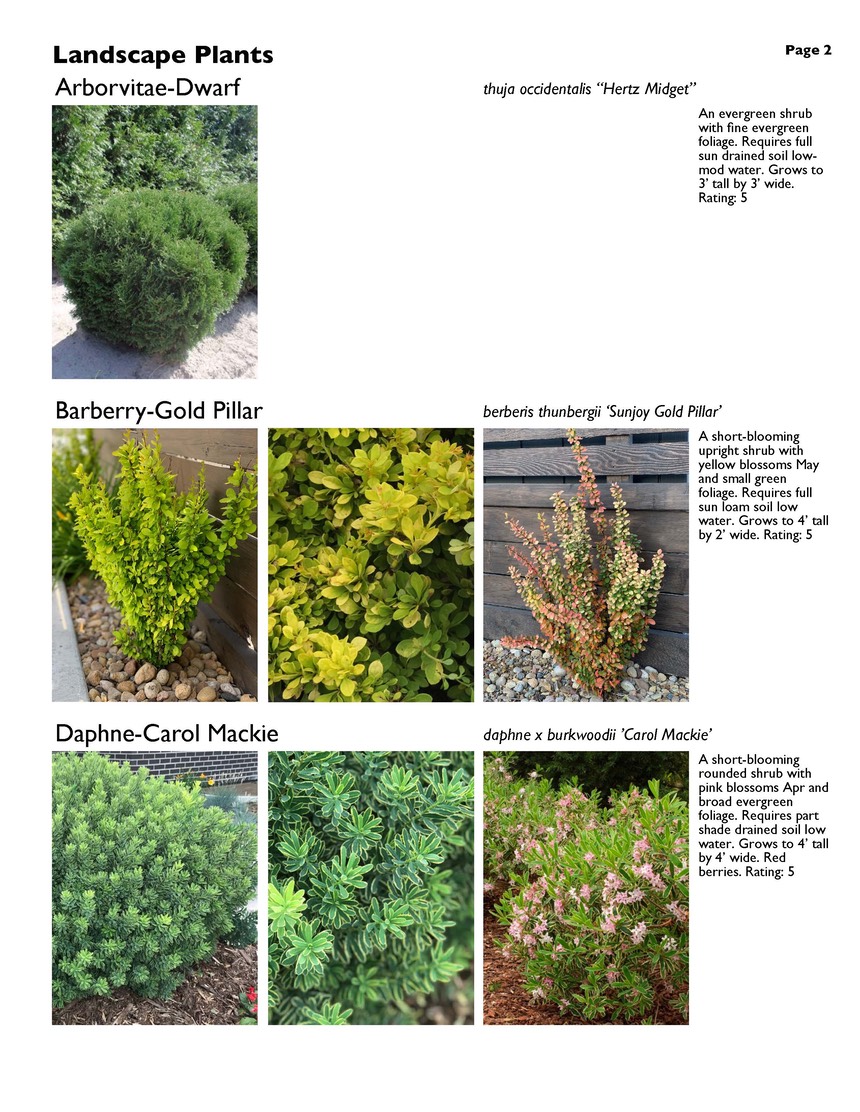 landscape-7-bonus plants Page 02