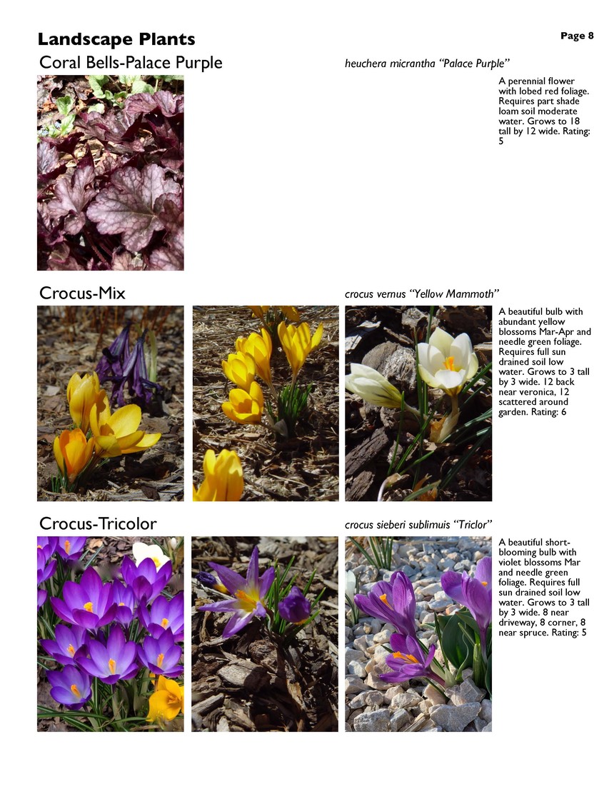 landscape-7-bonus plants Page 08